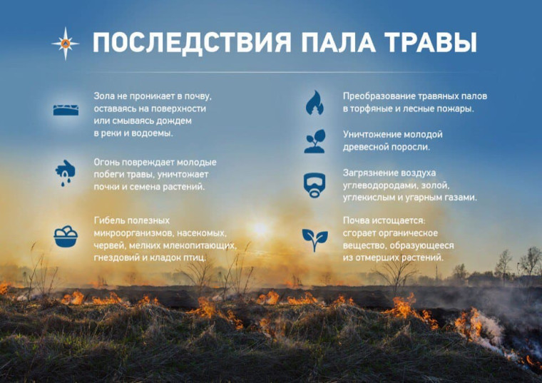 Укажите подпись к картинке. Укажите подпись к картинке.