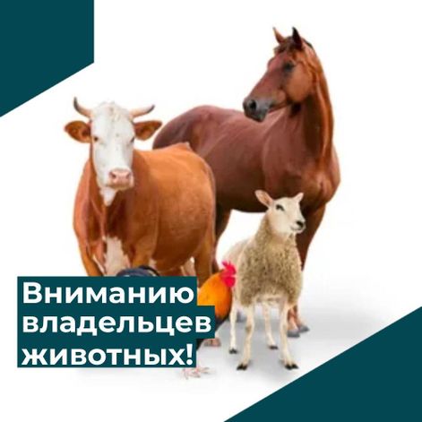 Информация для владельцев сельскохозяйственных животных!. Информация для владельцев сельскохозяйственных животных!.