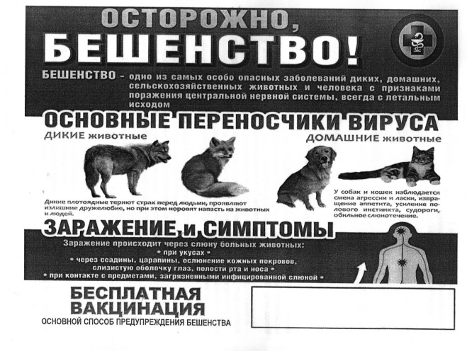 Бешенство — острое инфекционное вирусное особо опасное заболевание животных и человека. Бешенство — острое инфекционное вирусное особо опасное заболевание животных и человека.